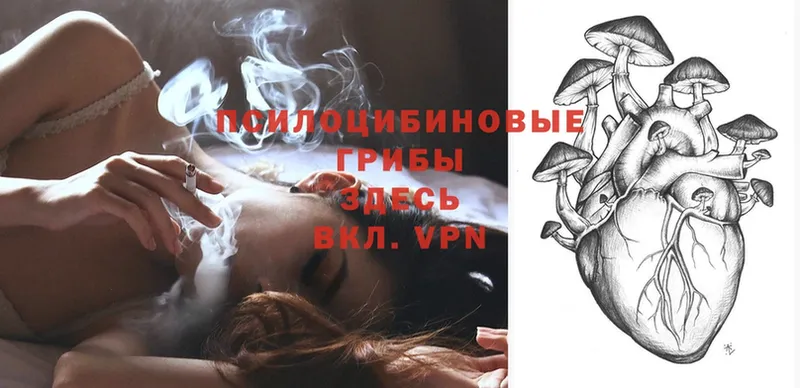 Псилоцибиновые грибы Magic Shrooms  Высоковск 